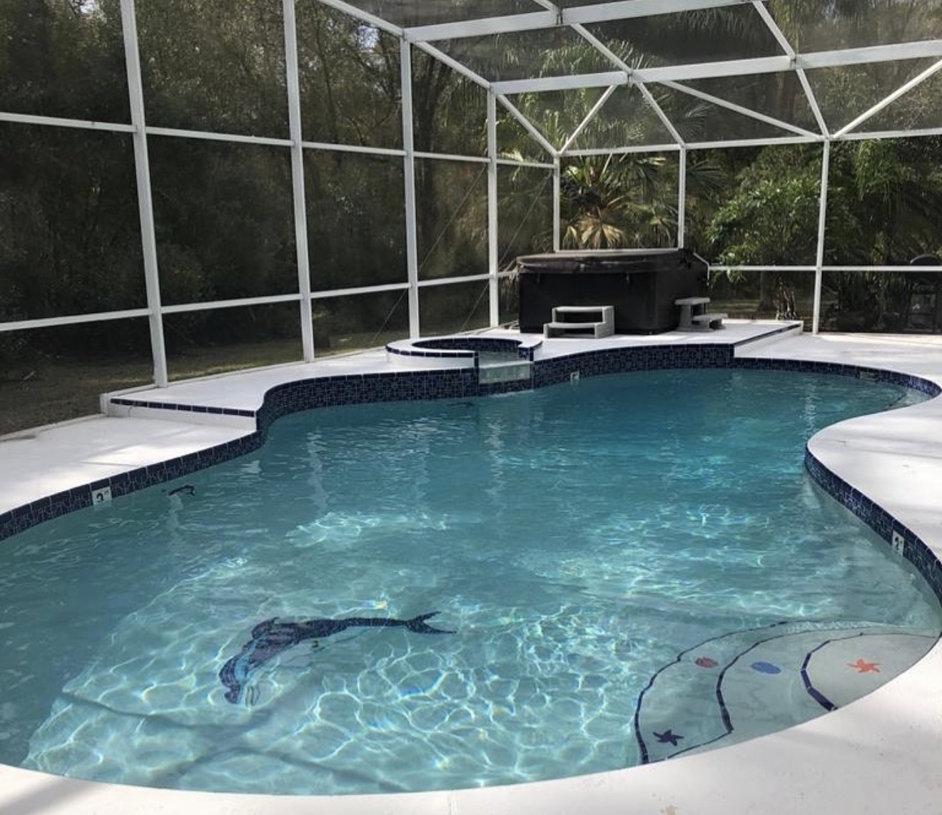Freeform pool with mosaic tile detail and spa