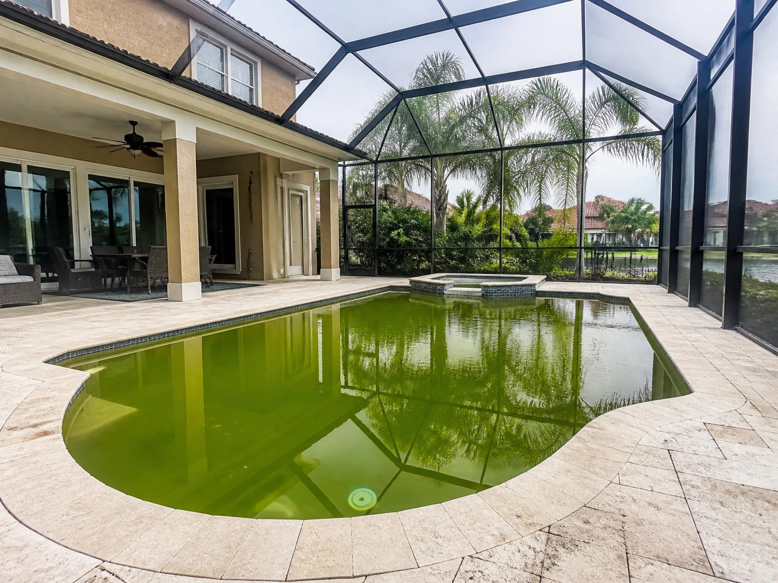Green algae-filled pool before professional service